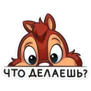 Стикер Chipmunk