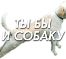 Стикер ЧленоПак