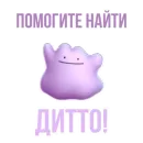 Что за срач
