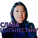 Стикер ciganestan