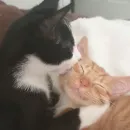 Стикер closticks13!