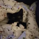 Стикер closticks13!