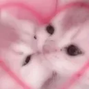 Стикер closticks13!