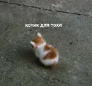 Стикер closticks7!