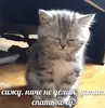 Стикер closticks4!
