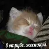 Стикер closticks4!