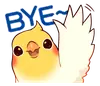 cobabird