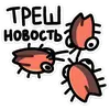 Стикер Таракан