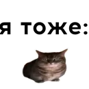 Стикер кокоа