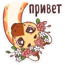 Кокосик