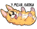 Стикер корги