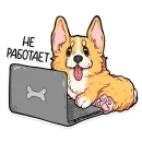 Стикер корги