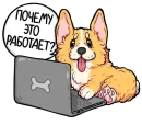 codedog cnsrd