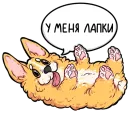 Стикер codedog cnsrd