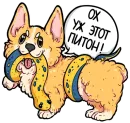 Стикер codedog cnsrd