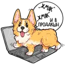 Стикер codedog cnsrd