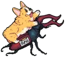 Стикер codedog cnsrd
