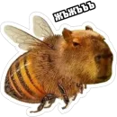 Экстракт