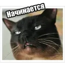 Стикер Экстракт