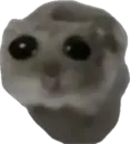 Стикер Хомяцек
