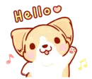 corgi in-love