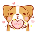 Стикер corgi in-love