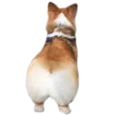 Стикер Corguage
