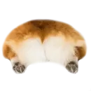 Стикер Corguage