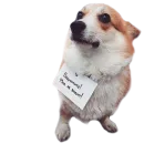Стикер Corguage
