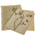 Стикер cottagecore