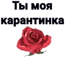Стикер Tobi Piz**a