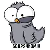 Стикер Воробушек