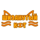 шизанутый кот