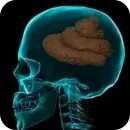 Стикер TikTok Memes