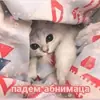 Стикер Crumple in bed
