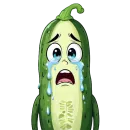 cucumber team