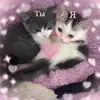 🐈⬛️ ˓𓄹 ࣪˖