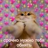 Стикер 🐈⬛️ ˓𓄹 ࣪˖