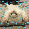 Стикер 🐈⬛️ ˓𓄹 ࣪˖