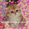 Стикер 🐈⬛️ ˓𓄹 ࣪˖