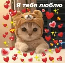 Стикер Cute cats 100