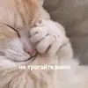Стикер cutecats 3