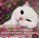 Стикер ฅ^•ﻌ•^ฅ