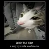 Стикер Миленькие котики