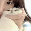 Стикер как же я лбблю кореяночек