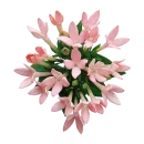 Стикер Цветы