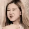 Стикер rose blackpink