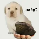 ДЭДОВЫ НАКЛЕЙКИ