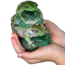 Стикер Держи жабу