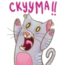 Стикер DevRias